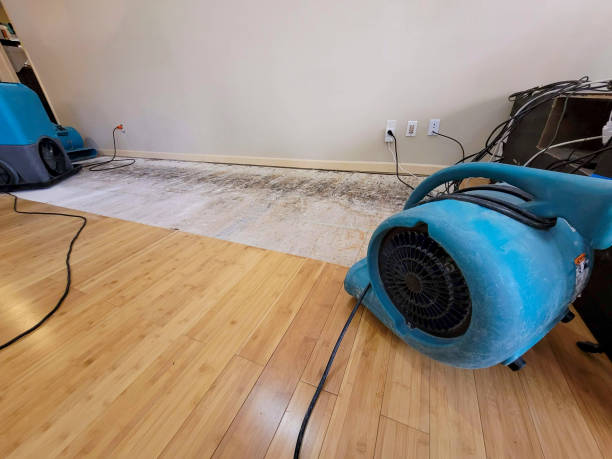 Professional Flood Damage Cleanup technician working in Lyons, OR